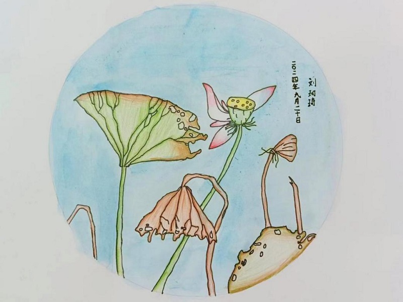 金沙集团1862cc(中国)成色有限公司-BinG百科