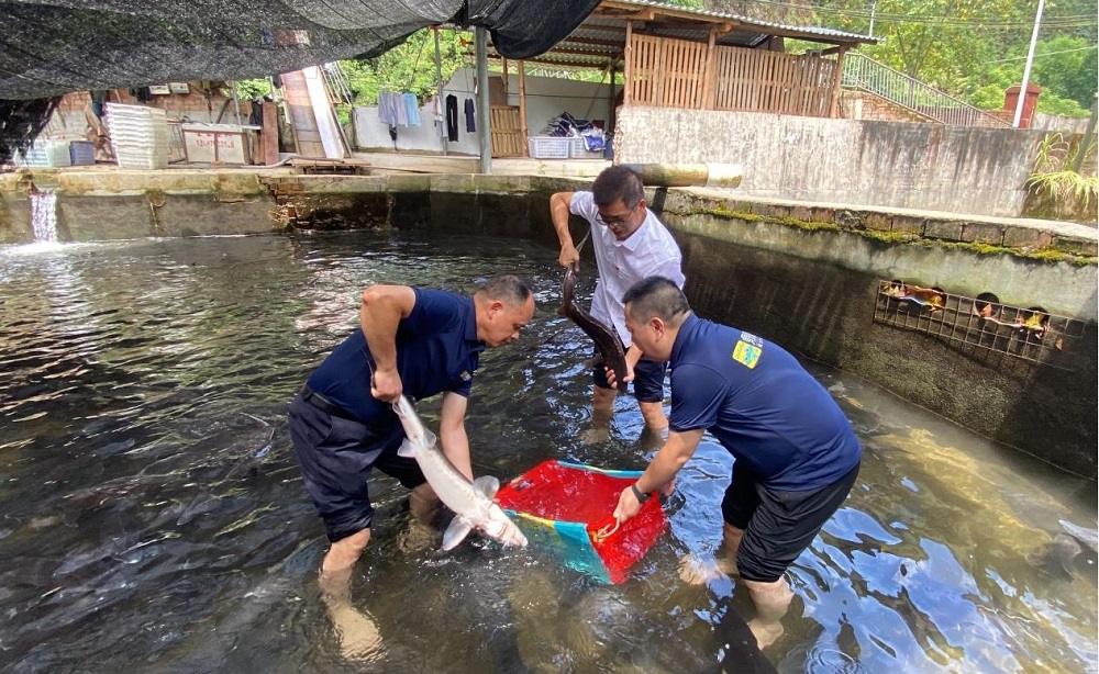 ½ðɳ¼¯ÍÅ1862cc(Öйú)³ÉÉ«ÓÐÏÞ¹«Ë¾-BinG°Ù¿Æ