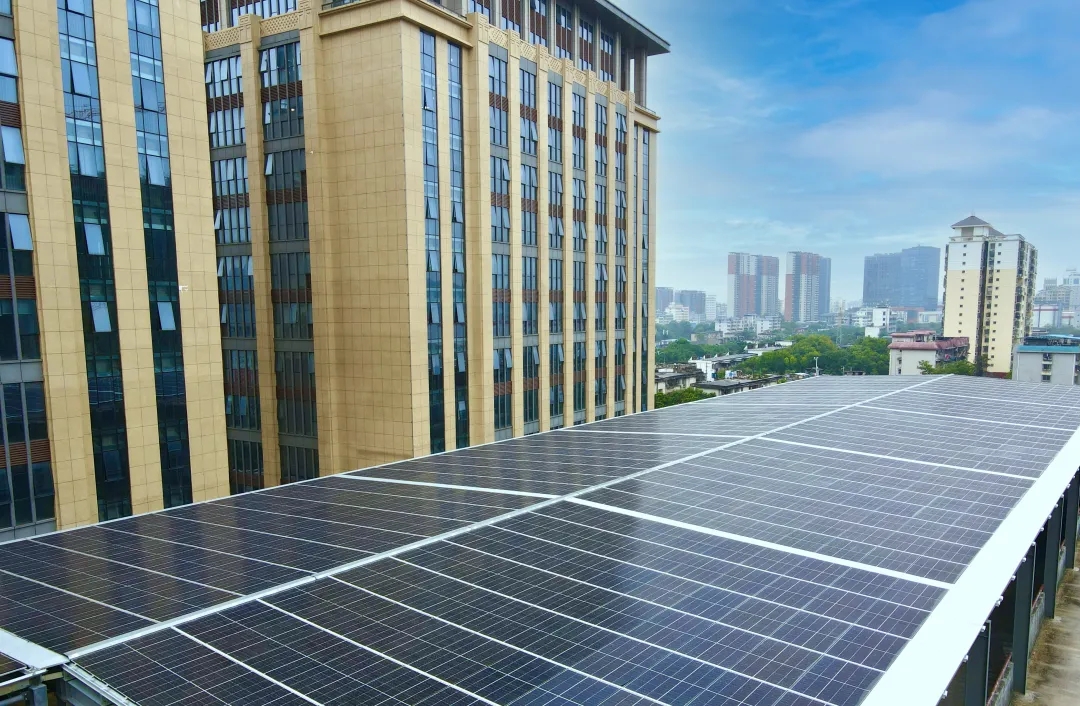 金沙集团1862cc(中国)成色有限公司-BinG百科